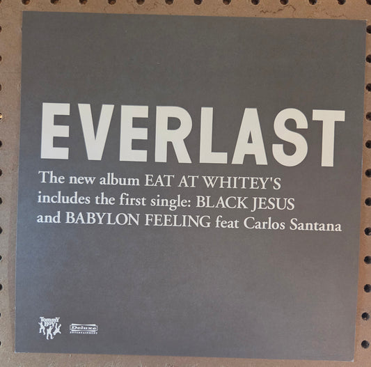 Everlast - 2000 Vintage Promotional Double-sided Album Cover Poster Flat