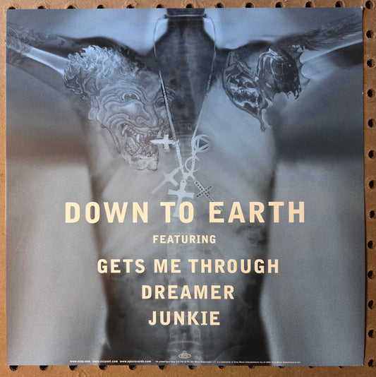 Ozzy "Down to Earth" - 2001 Vintage Promotional Double-sided Album Cover Poster Flat