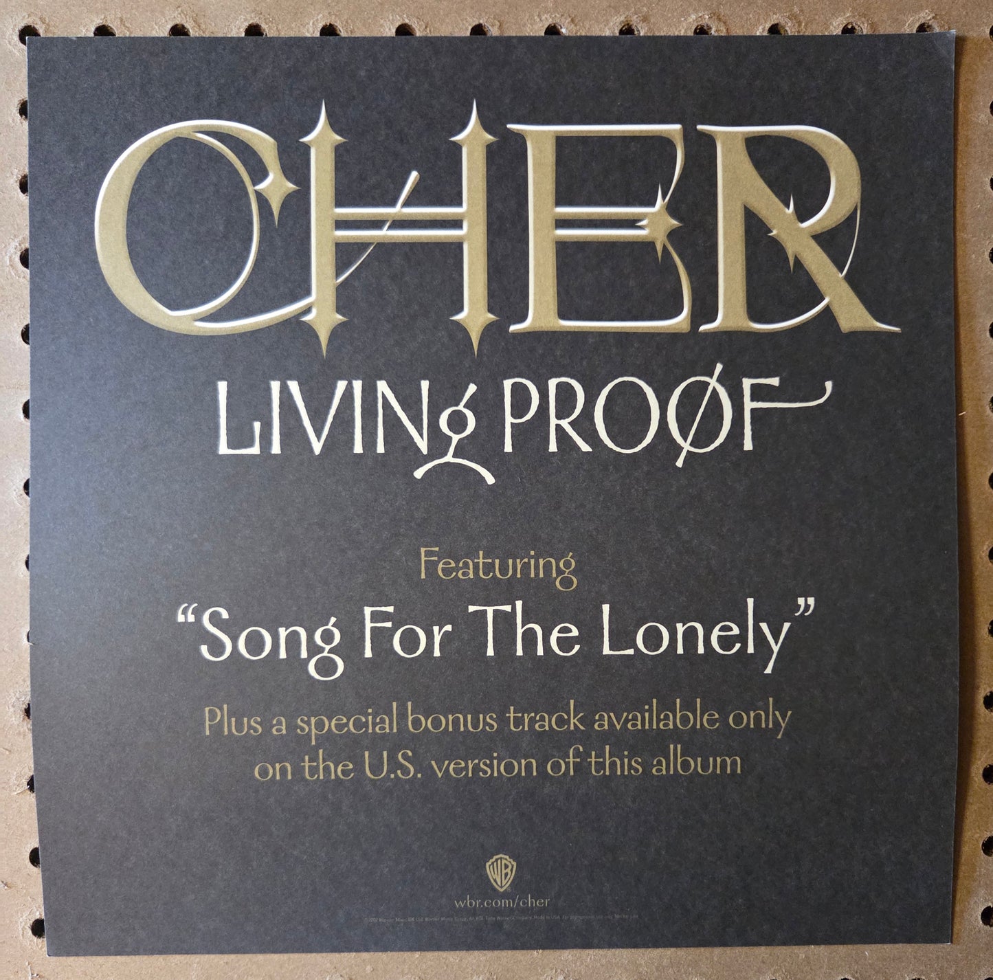 Cher - Living Proof - Vintage 12x12 Double-sided Album Cover Promo Poster