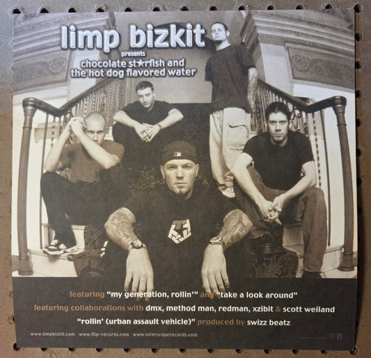 Limp Bizkit - Chocolate Starfish and the Hot Dog Flavored Wate - Vintage 12x12 Double-sided Album Cover Promo Poster