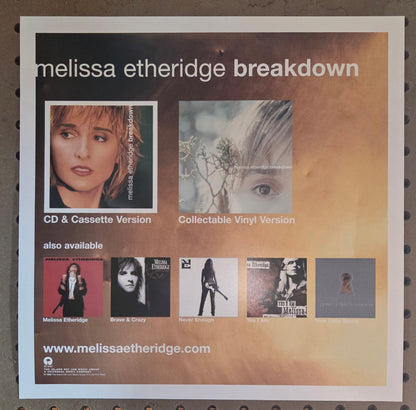 Melissa Etheridge - 1999 Vintage Promotional Double-sided Album Cover Poster Flat