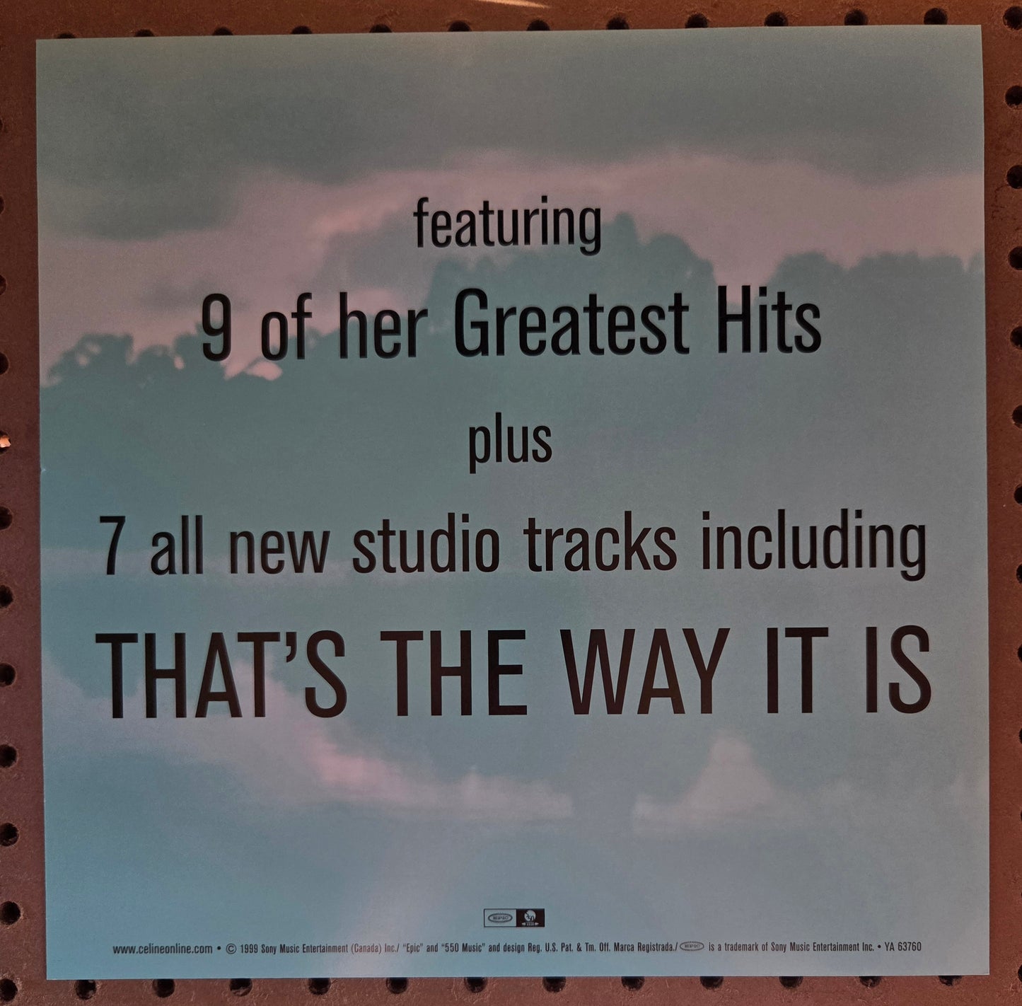 Celine Dion "All the Way" - 1999 Vintage Promotional Double-sided Album Cover Poster Flat