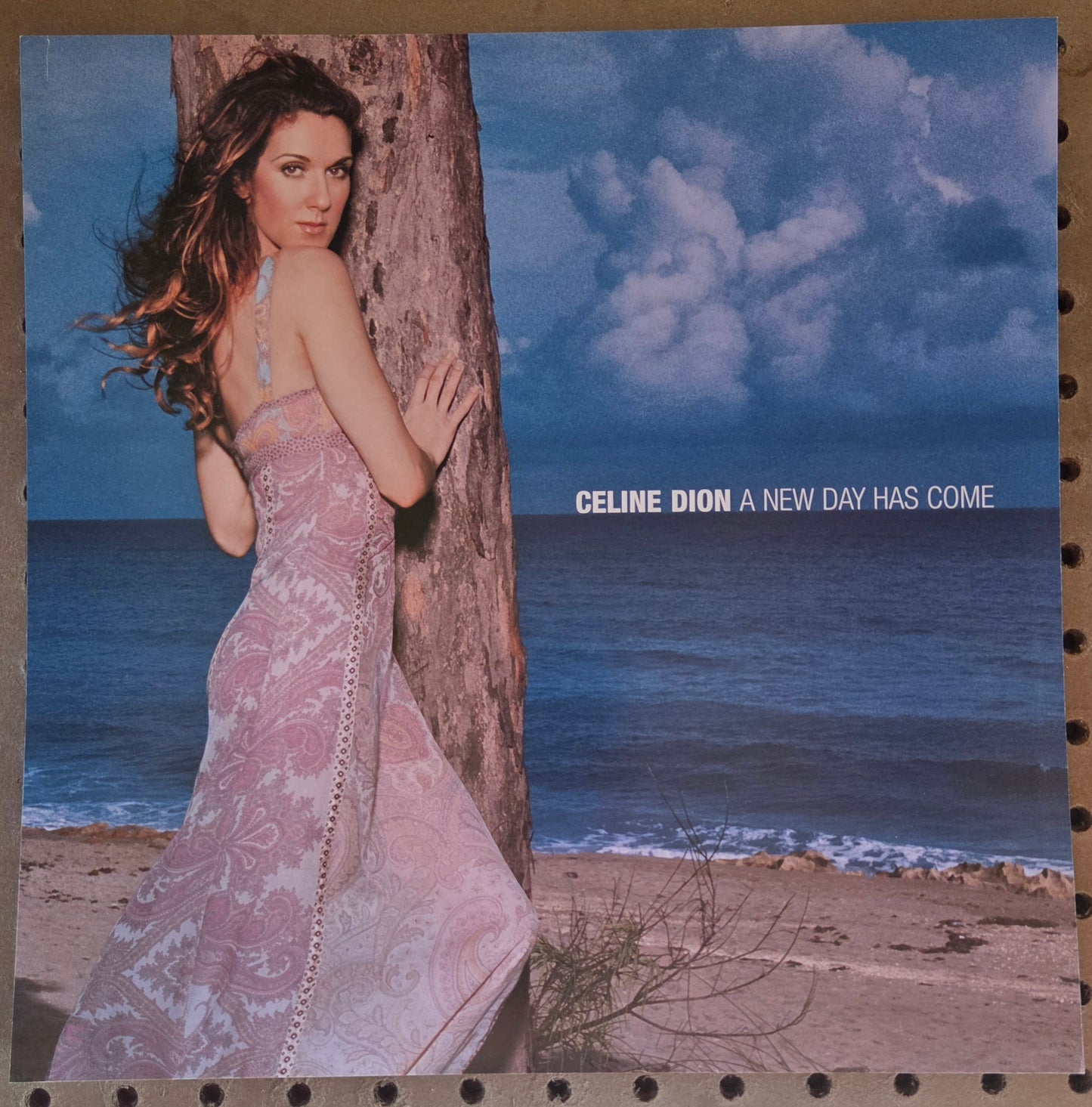 Celine Dion "A New Day Has Come" - 2002 Vintage Promotional Double-sided Album Cover Poster Flat