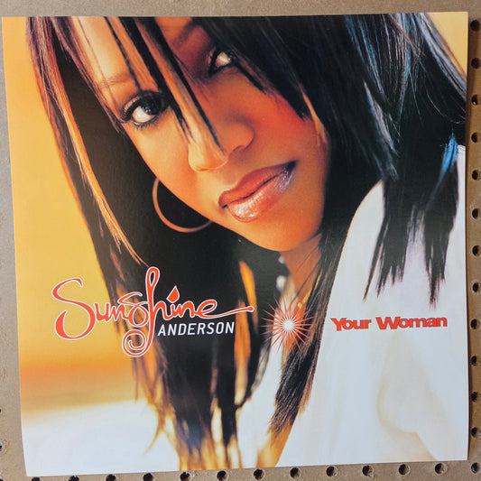 Sunshine Anderson - 2001 Vintage Promotional Double-sided Album Cover Poster Flat