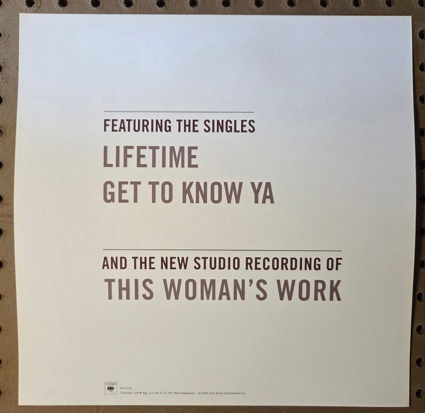 Maxwell "Now" - 2001 Vintage Promotional Double-sided Album Cover Poster Flat