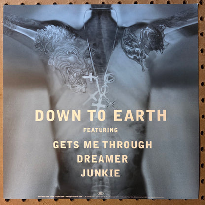 Ozzy "Down to Earth" - 2001 Vintage Promotional Double-sided Album Cover Poster Flat