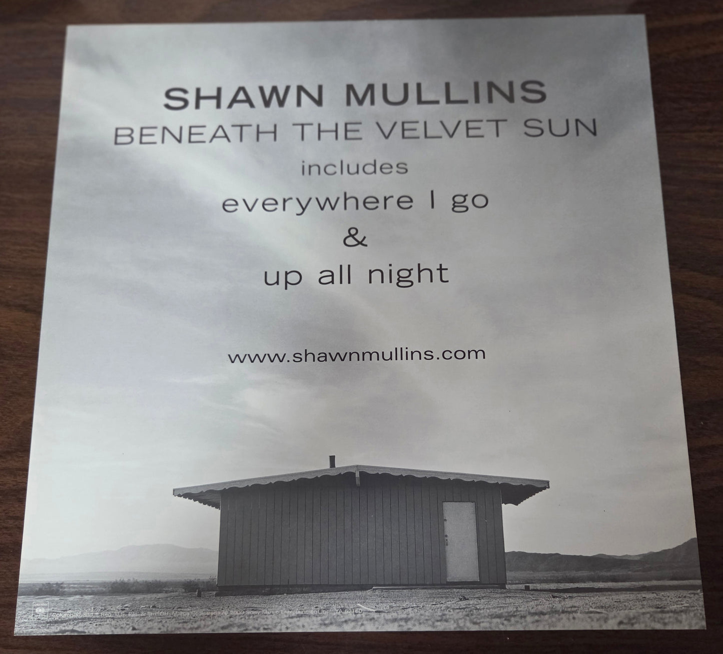 Shawn Mullins "Beneath the Velvet Sun" - 2000 Vintage Promotional Double-sided Album Cover Poster Flat