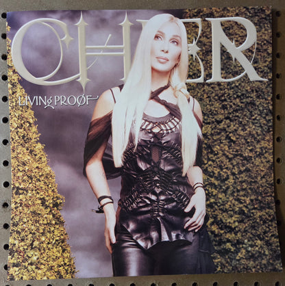 Cher - Living Proof - Vintage 12x12 Double-sided Album Cover Promo Poster