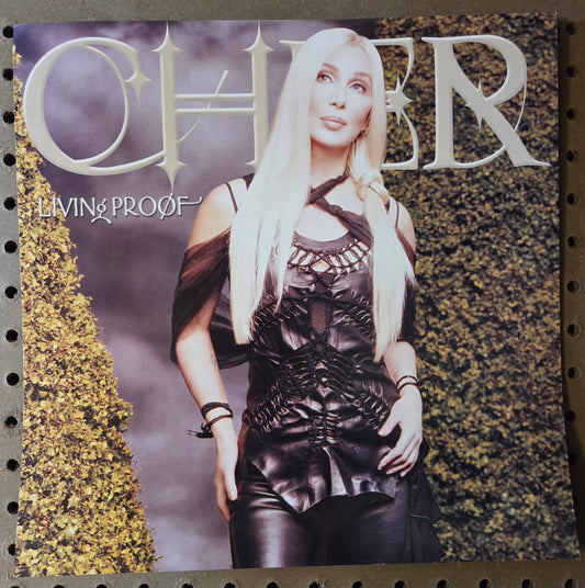 Cher - Living Proof - Vintage 12x12 Double-sided Album Cover Promo Poster