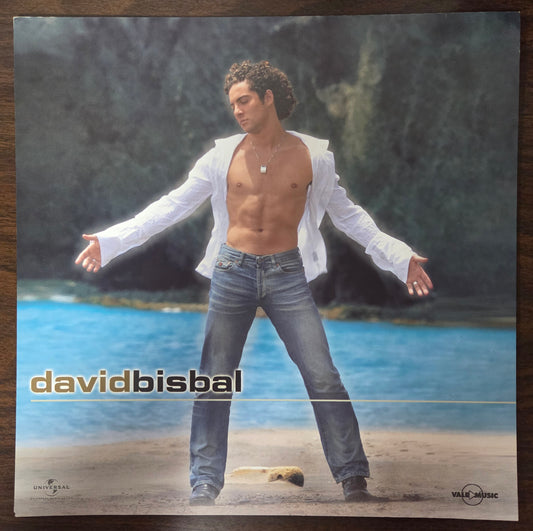 David Bisbal - Corazon Latino - Vintage 12x12 Double-sided Album Cover Promo Poster