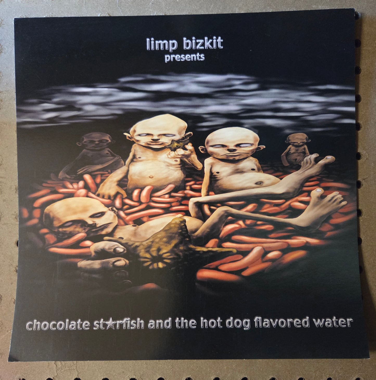Limp Bizkit - Chocolate Starfish and the Hot Dog Flavored Wate - Vintage 12x12 Double-sided Album Cover Promo Poster