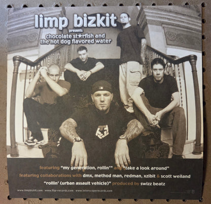 Limp Bizkit - Chocolate Starfish and the Hot Dog Flavored Wate - Vintage 12x12 Double-sided Album Cover Promo Poster