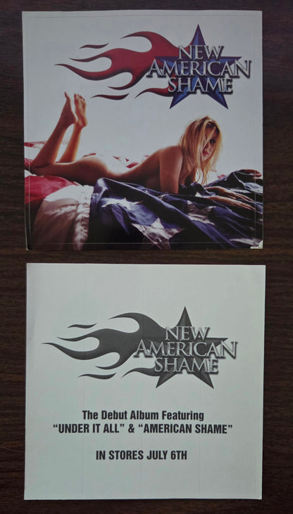 New American Shame Original Promo Sticker - Vintage 1999 Debut Album Art 5x5