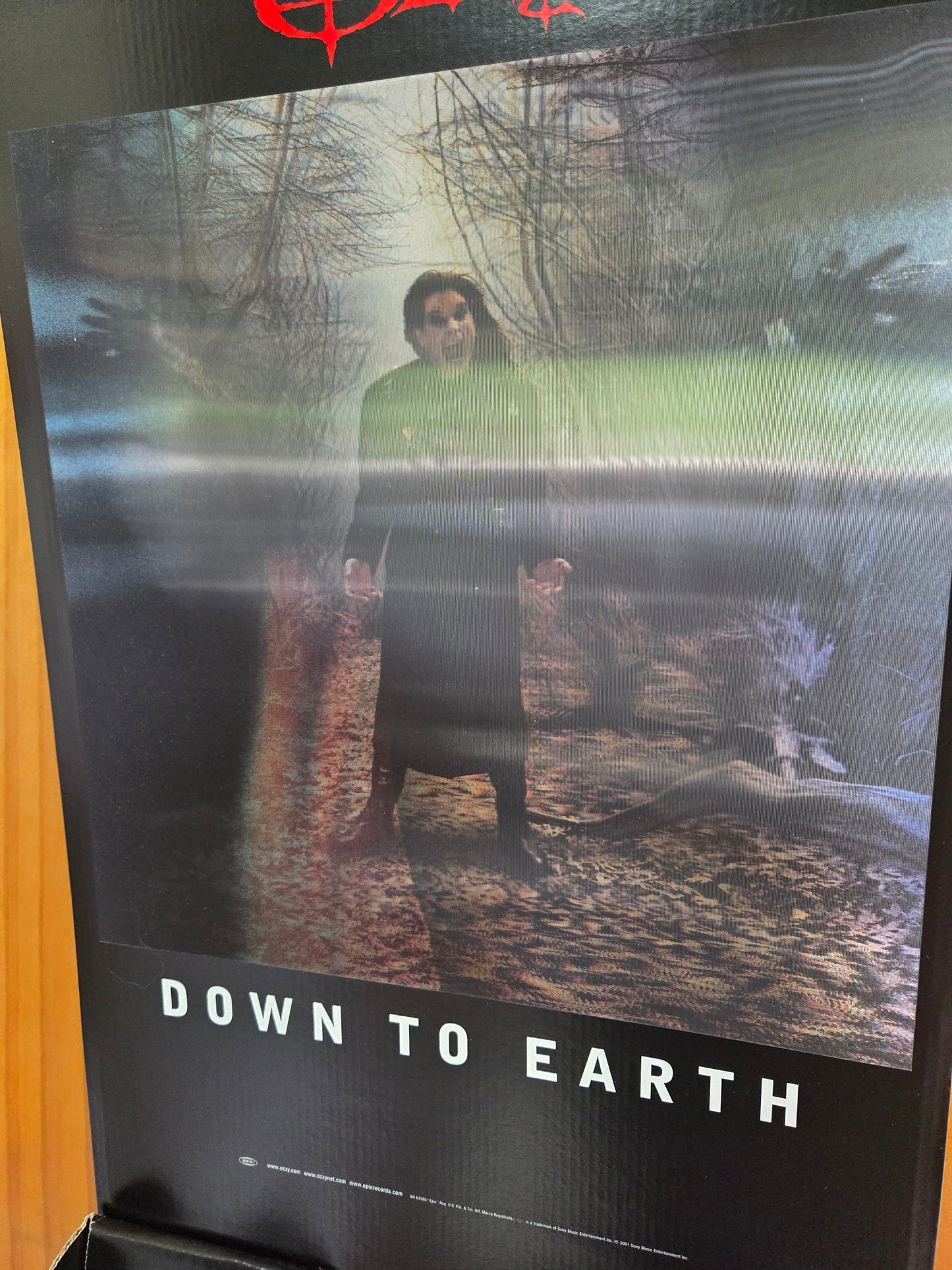 Ozzy Osbourne - Down to Earth Original Promotional Display